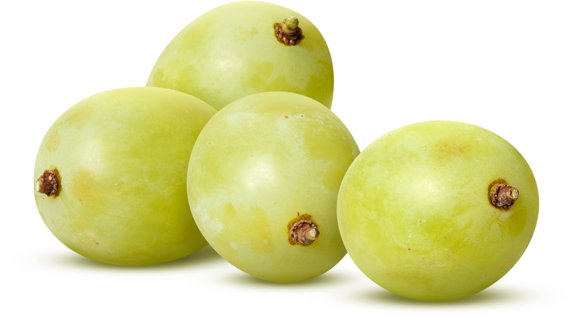 White Grapes